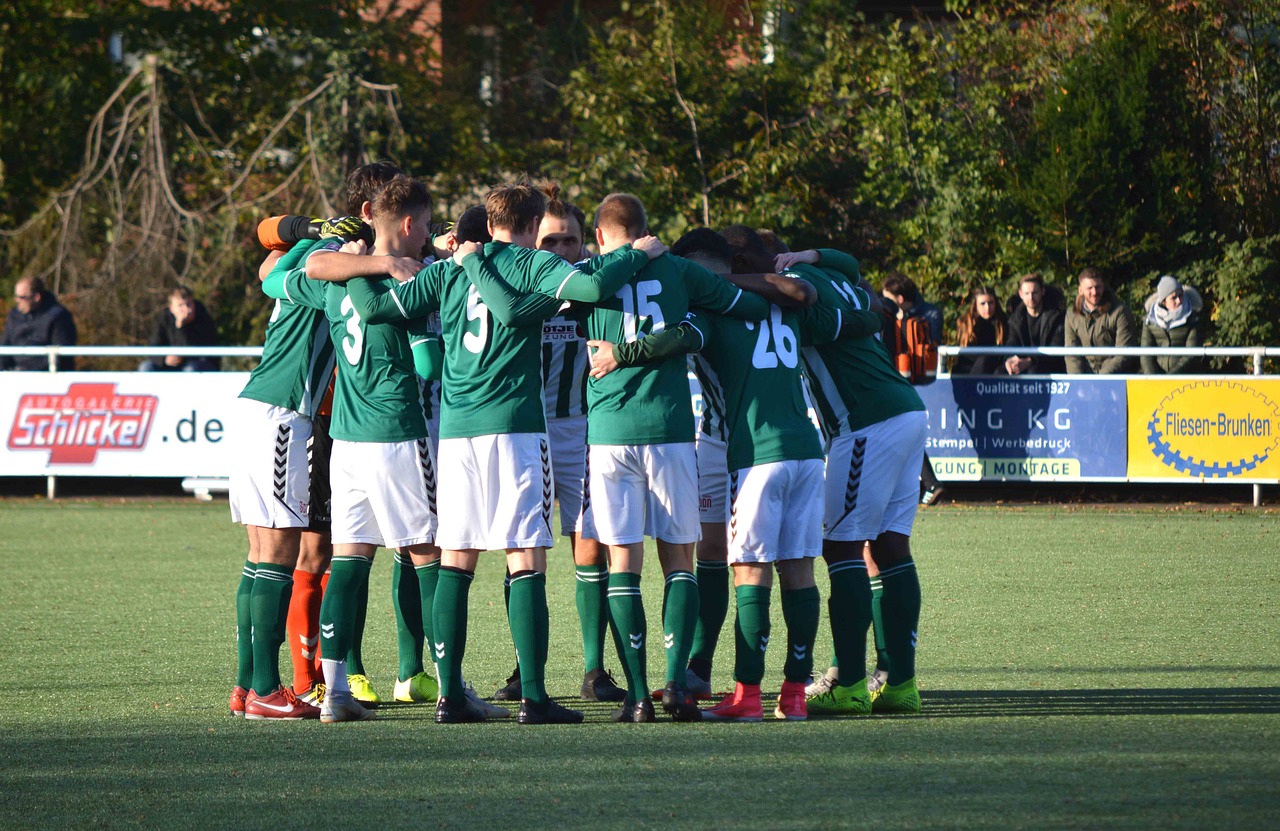 小说代理平台官网推荐