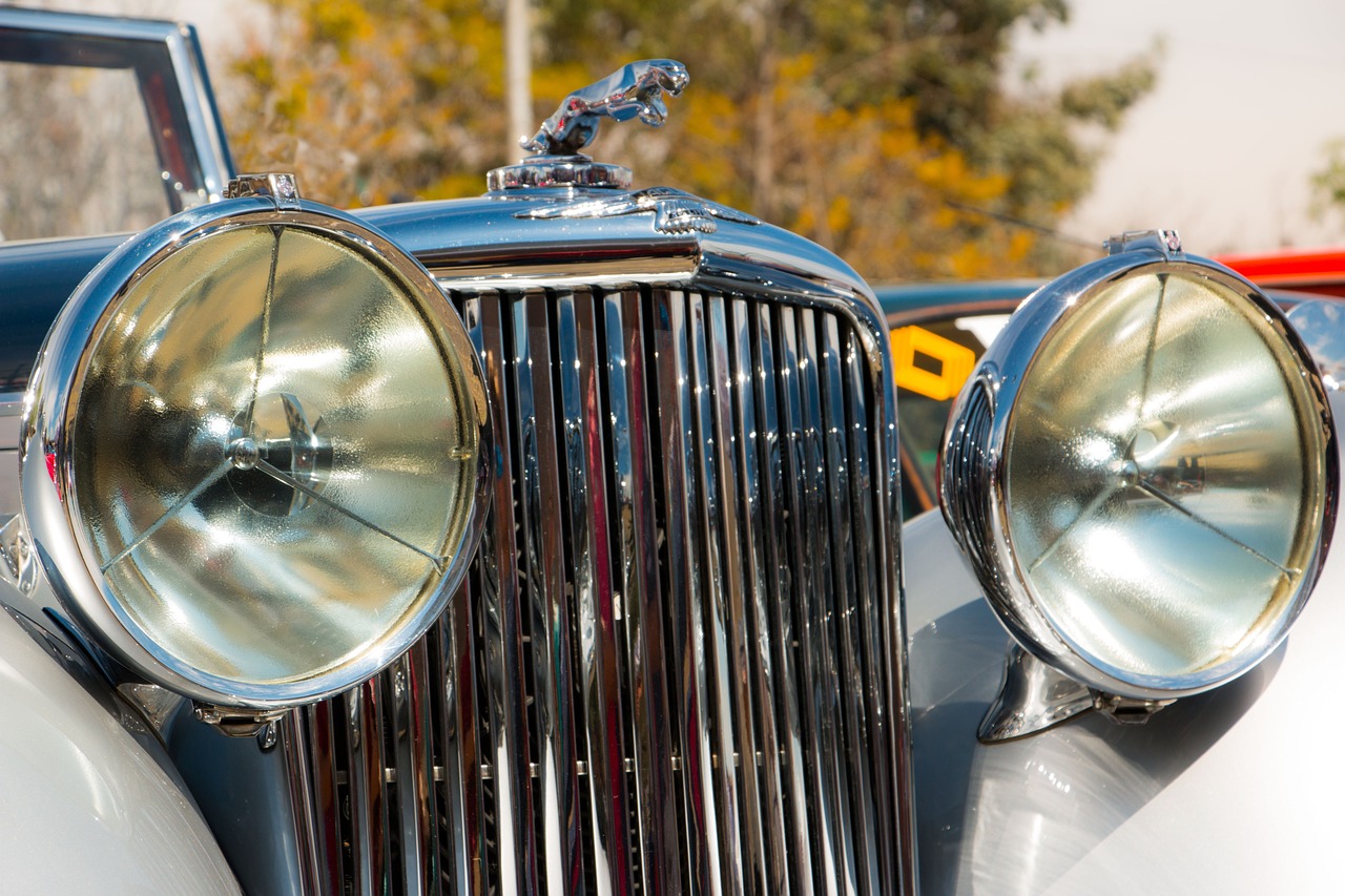 铁塔猫烟花芒果珠(细):南通代理工商注册哪里好