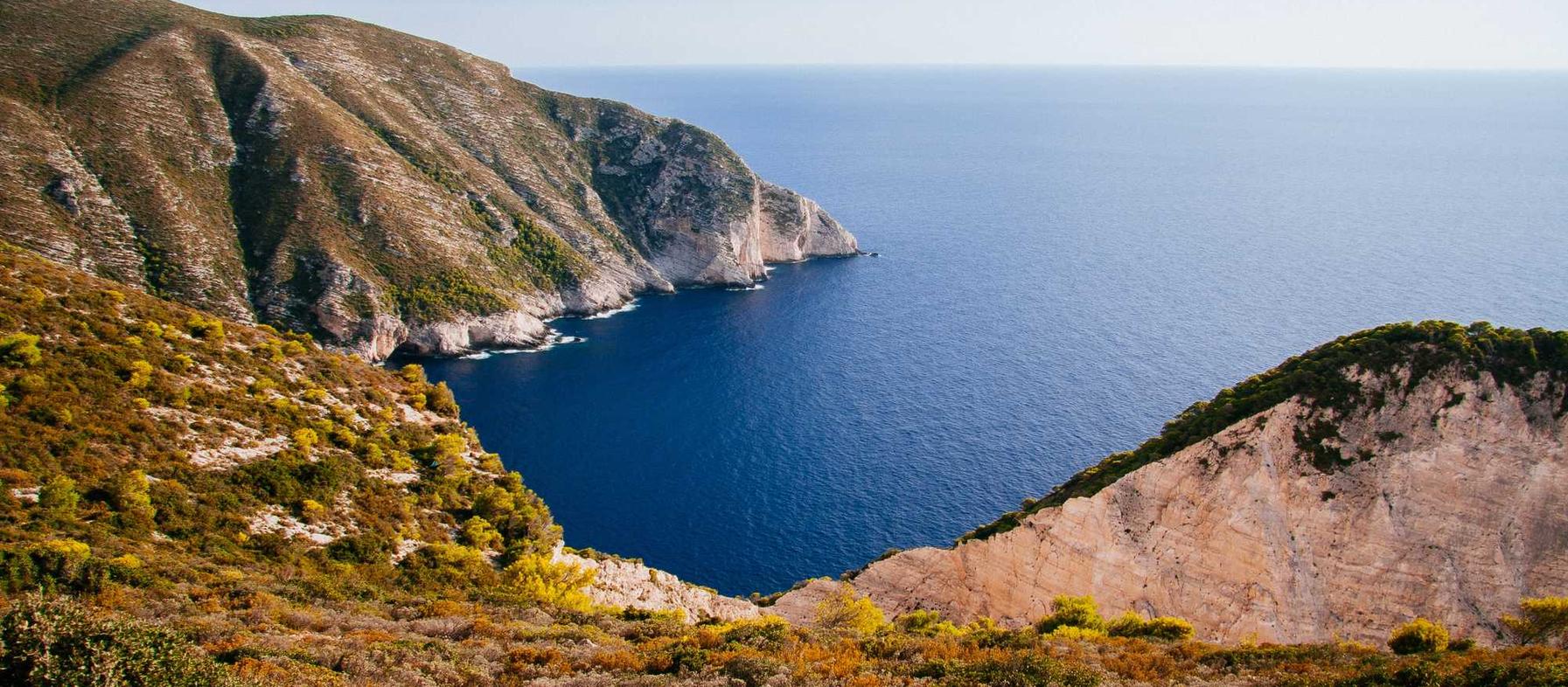 木盒蓝沉香(粗):临沂代理注册出口公司