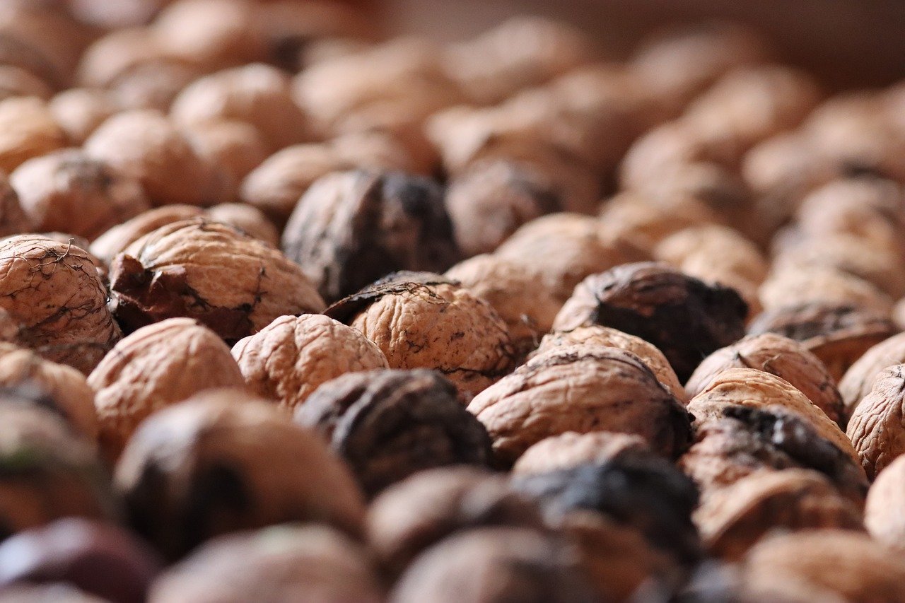 顺达娱乐，注册|建德记账代理服务平台