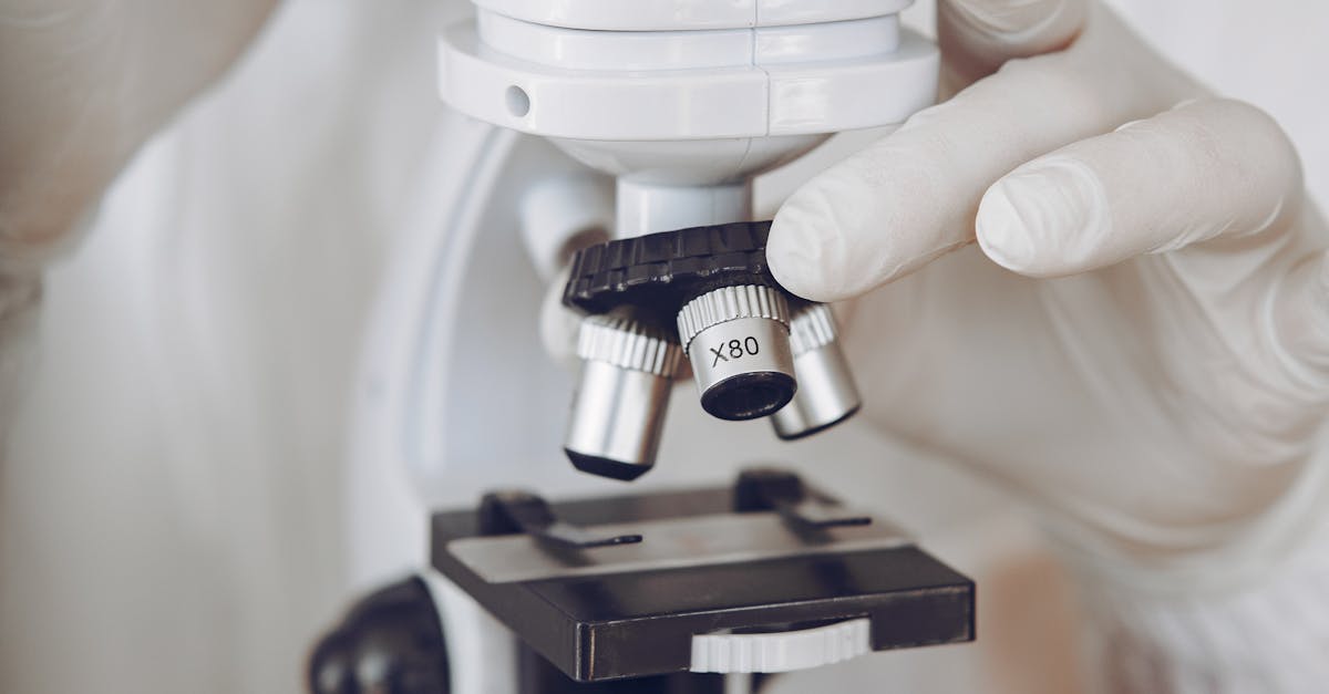 方盒绿大熊猫:浙江会计公司注册代理机构