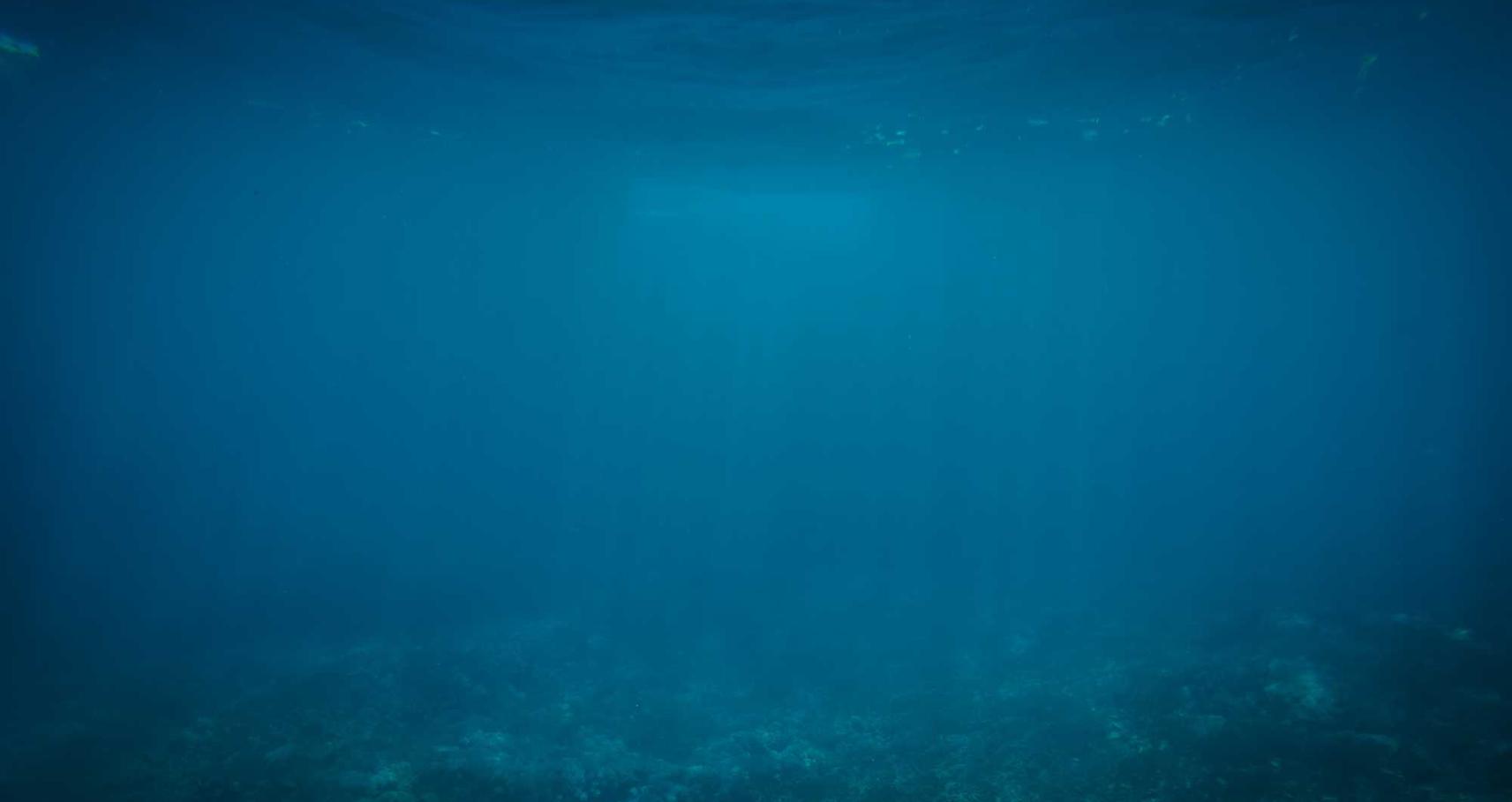 如何优化您的页面用于特定阅读器 