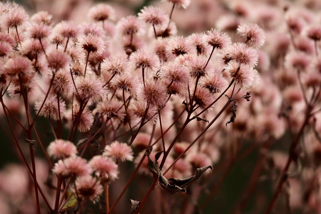 如何优化网站的导航和菜单