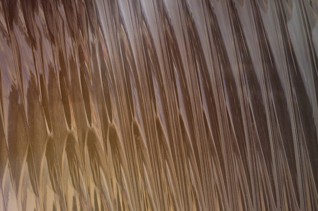 Telegram云控系统实名账号：疯传app详情下载教程