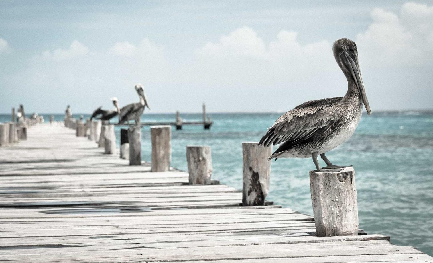 注册公司怎么做代理